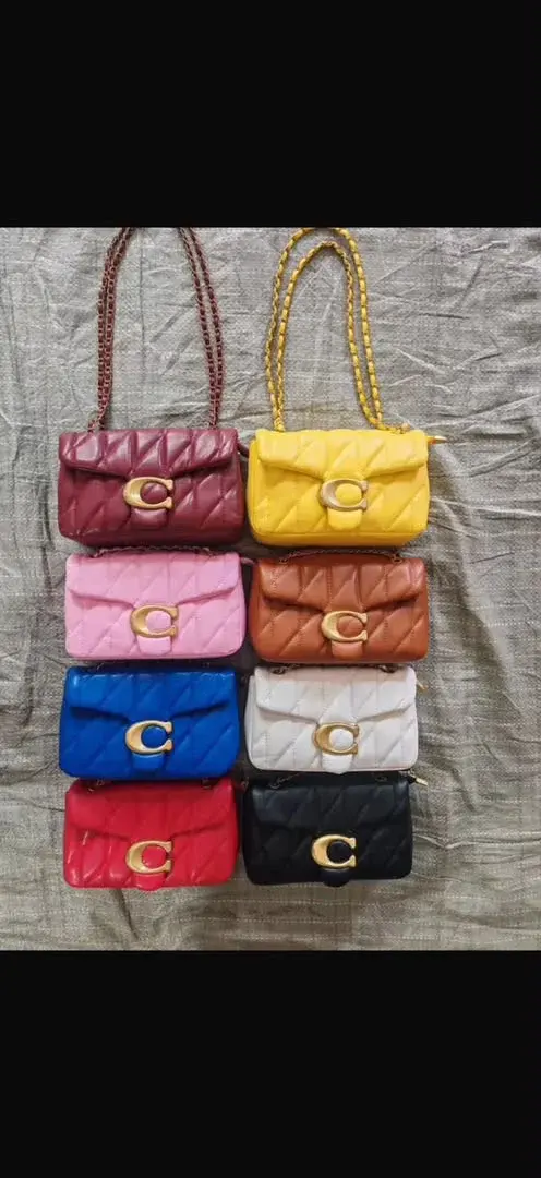 Coach bag